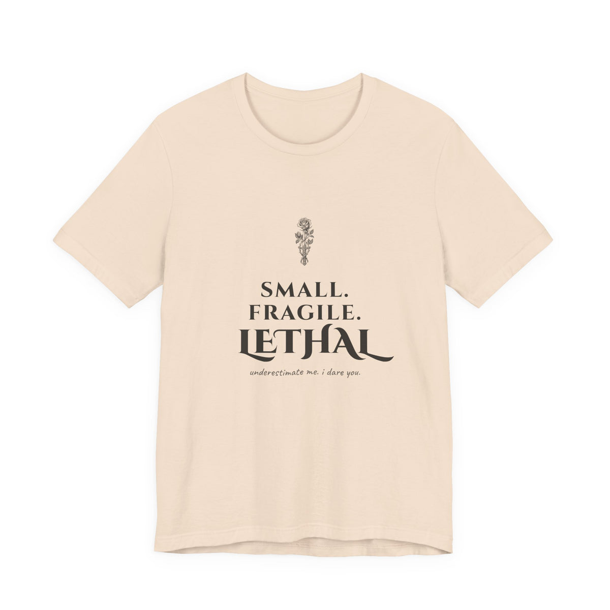 Small Fragile Lethal Dragon Rider T-Shirt