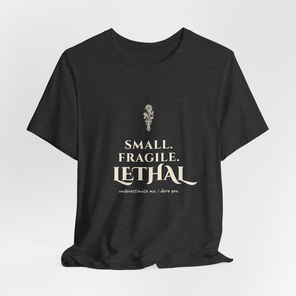 Small Fragile Lethal Dragon Rider T-Shirt