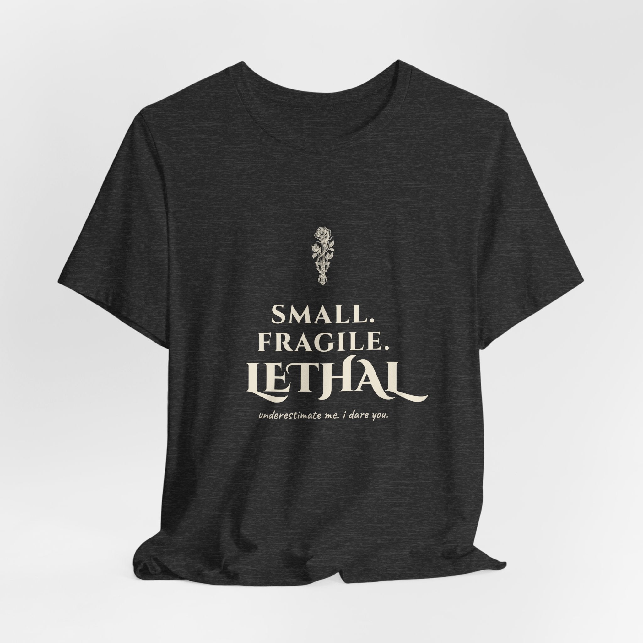 Small Fragile Lethal Dragon Rider T-Shirt