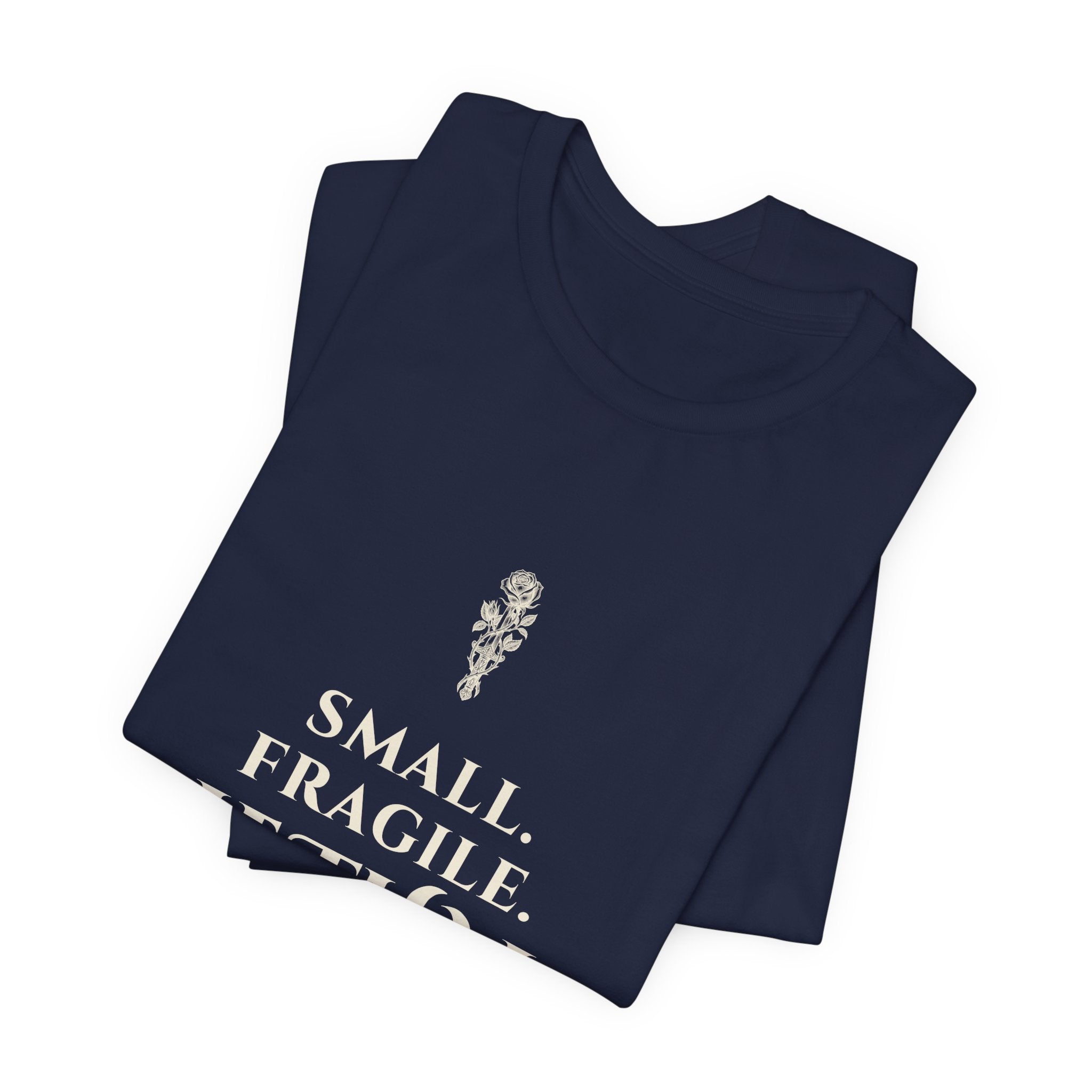 Small Fragile Lethal Dragon Rider T-Shirt