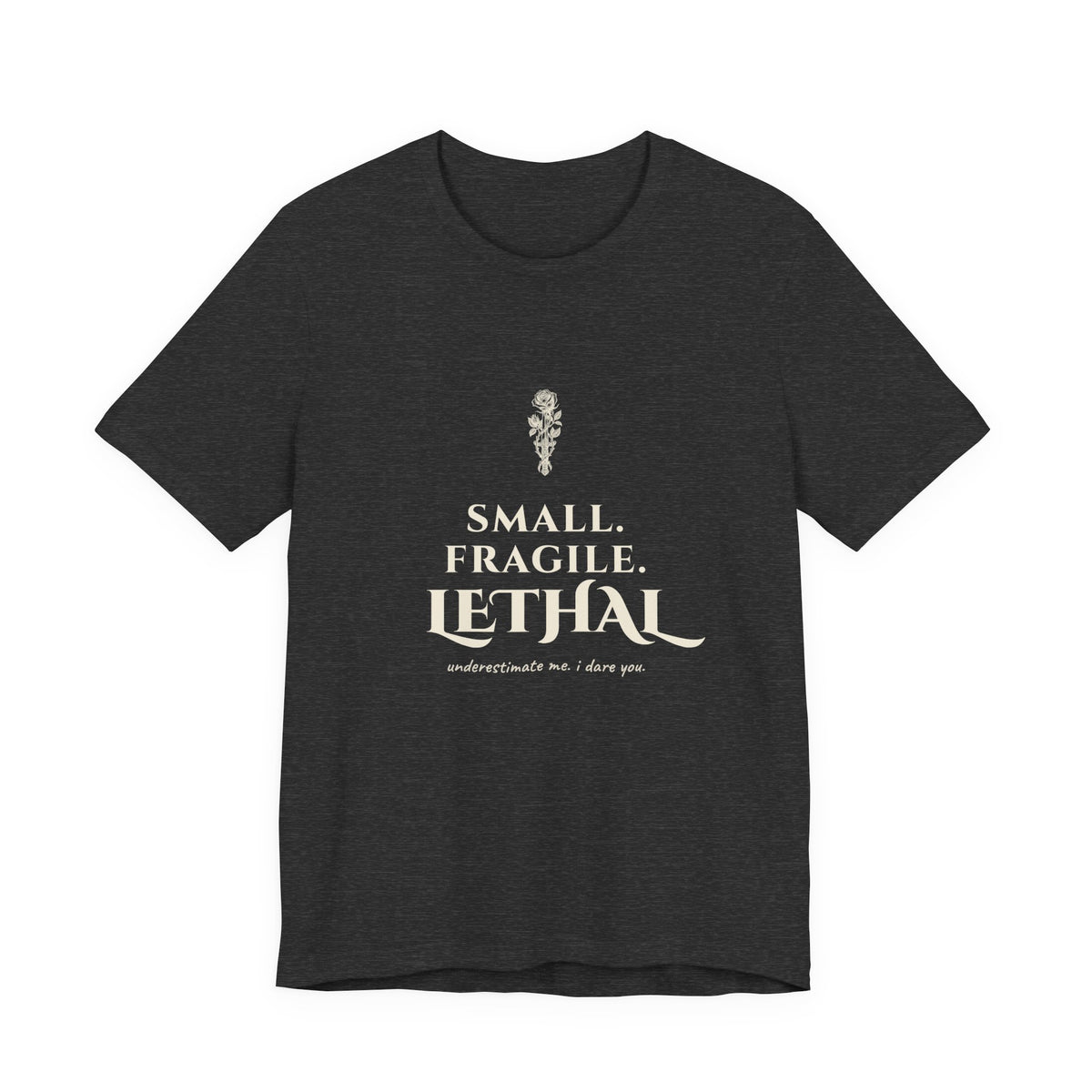 Small Fragile Lethal Dragon Rider T-Shirt