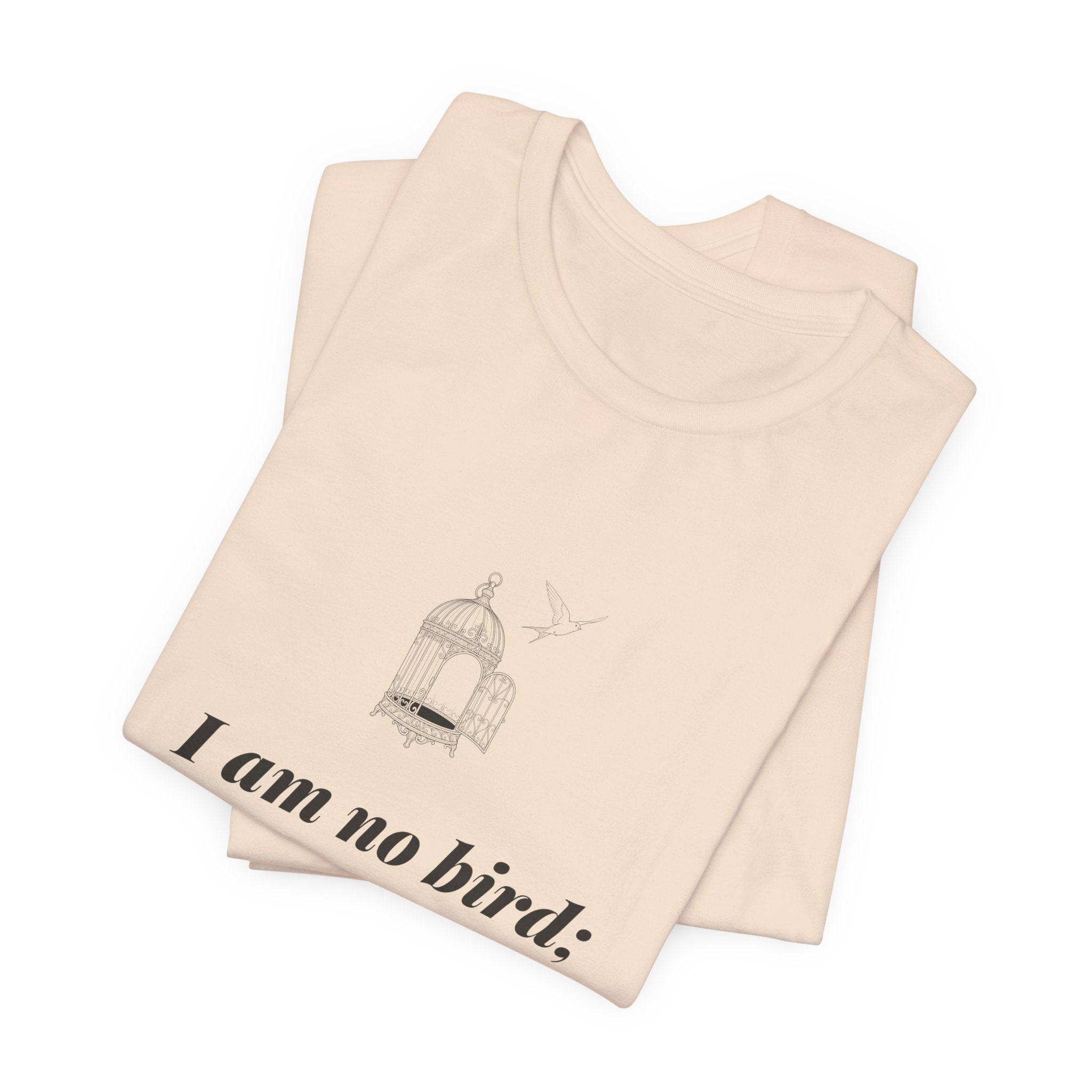 Jane Eyre I Am No Bird T-Shirt