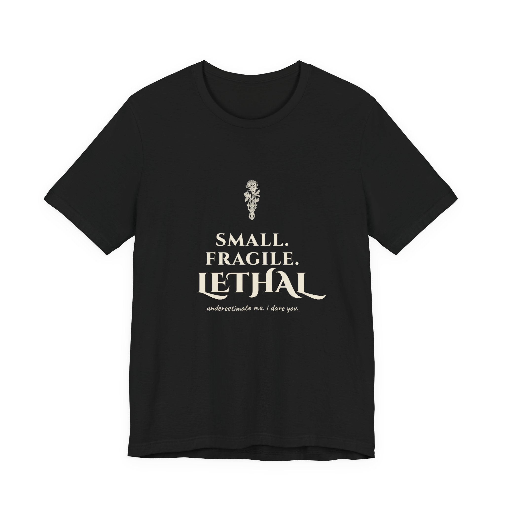 Small Fragile Lethal Dragon Rider T-Shirt
