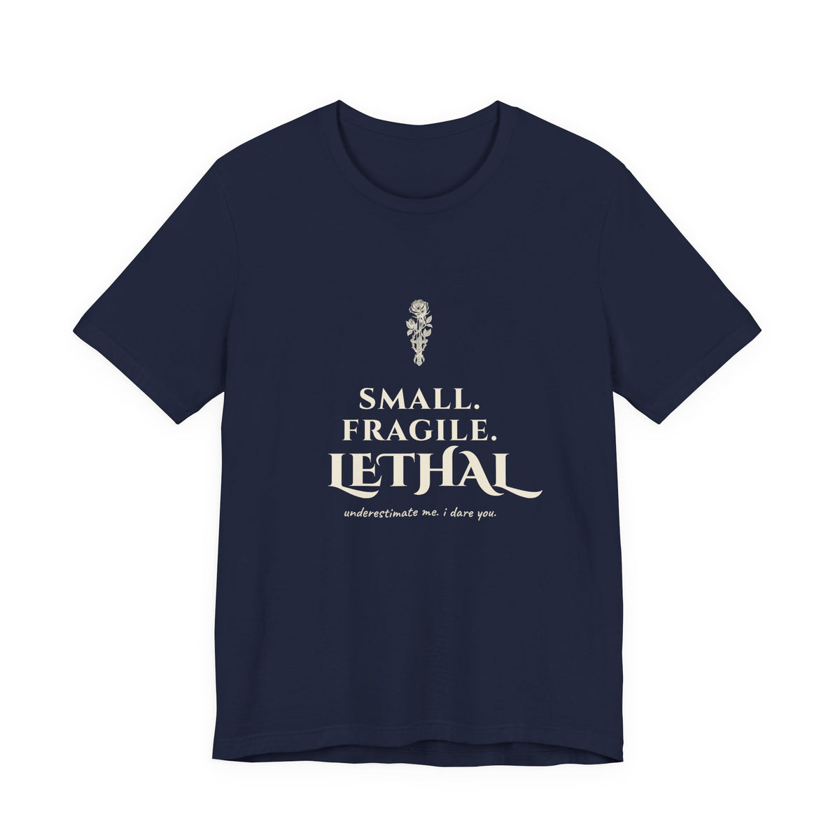 Small Fragile Lethal Dragon Rider T-Shirt