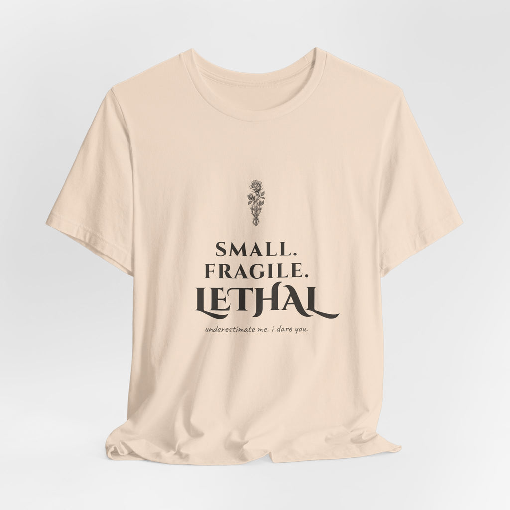 Small Fragile Lethal Dragon Rider T-Shirt