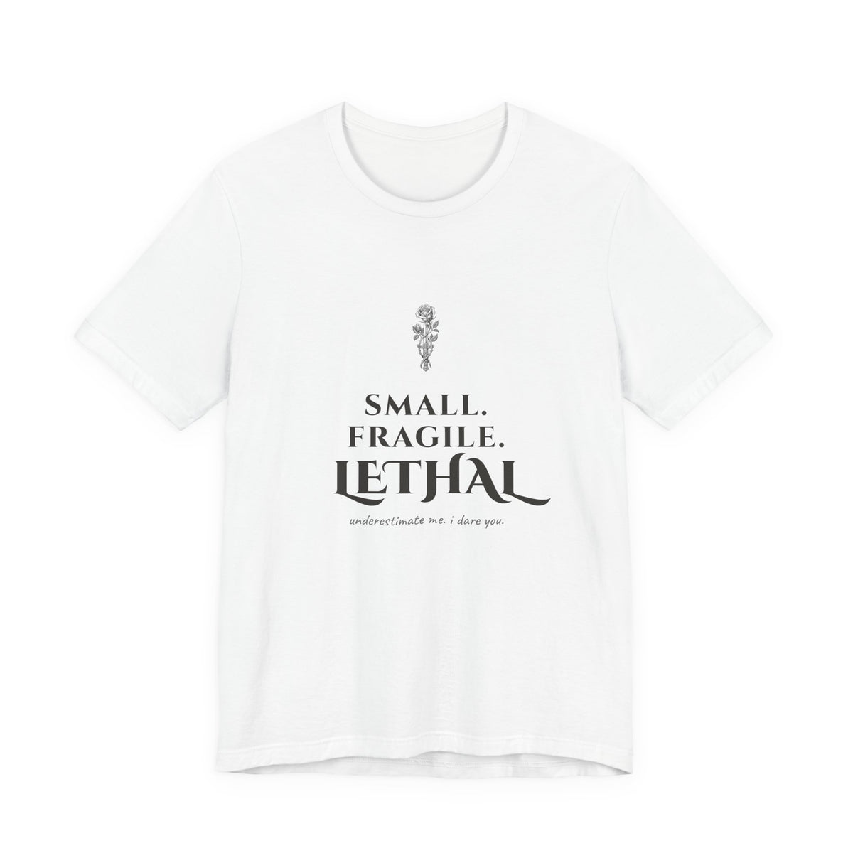 Small Fragile Lethal Dragon Rider T-Shirt