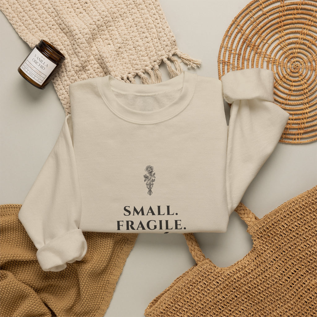 Small Fragile Lethal Dragon Rider Sweatshirt