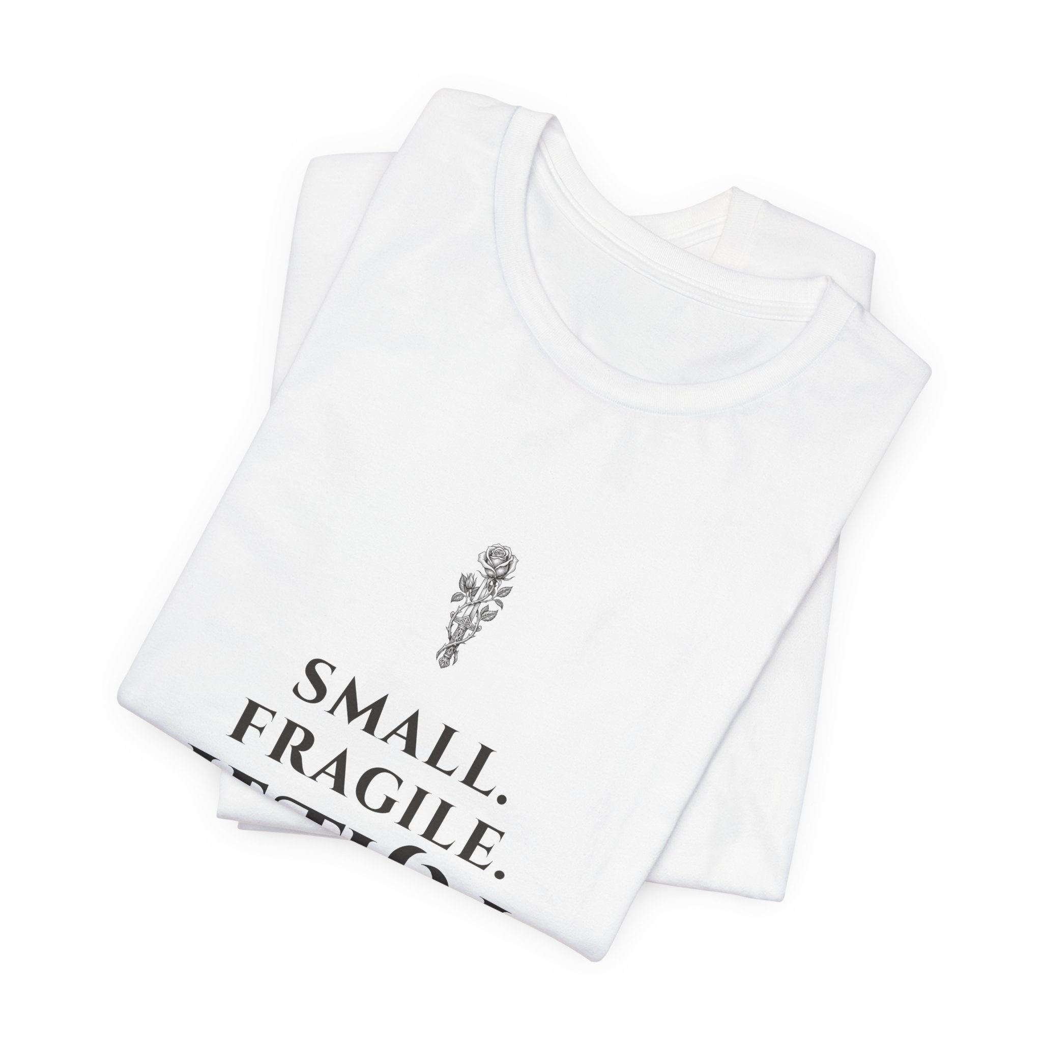 Small Fragile Lethal Dragon Rider T-Shirt