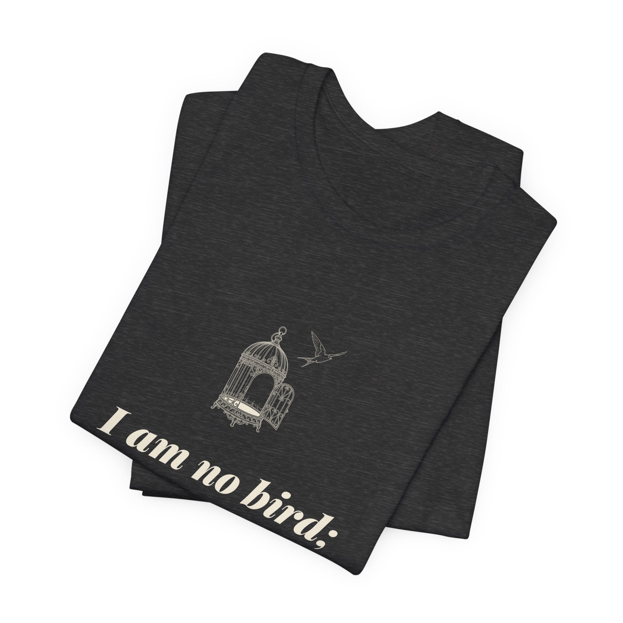 Jane Eyre I Am No Bird T-Shirt