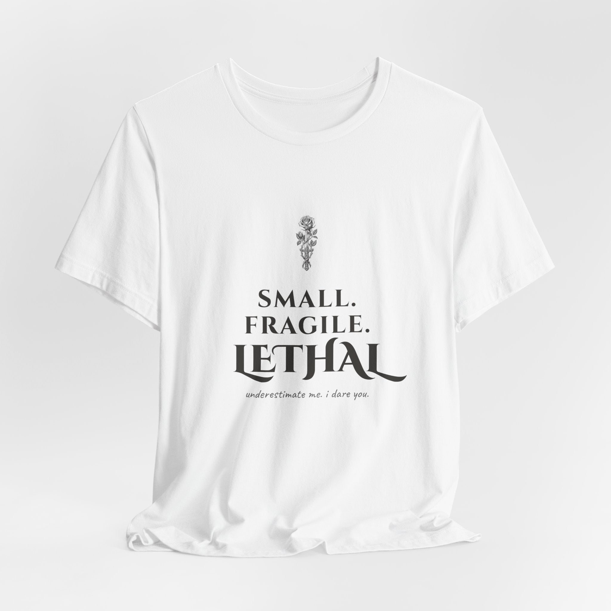 Small Fragile Lethal Dragon Rider T-Shirt